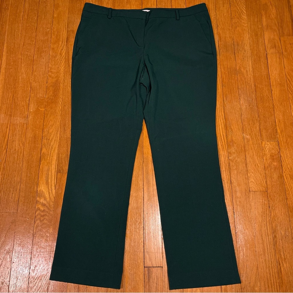 New York & Company Green Pants